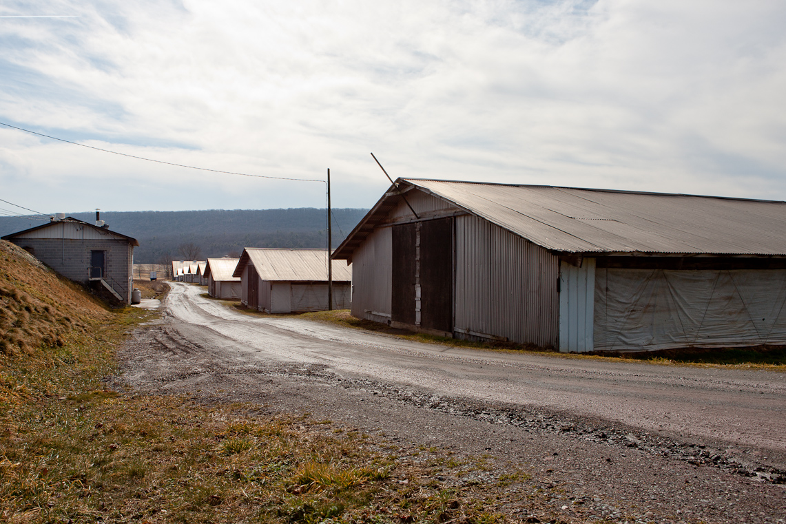 ArgallSelects Image49 / 51
